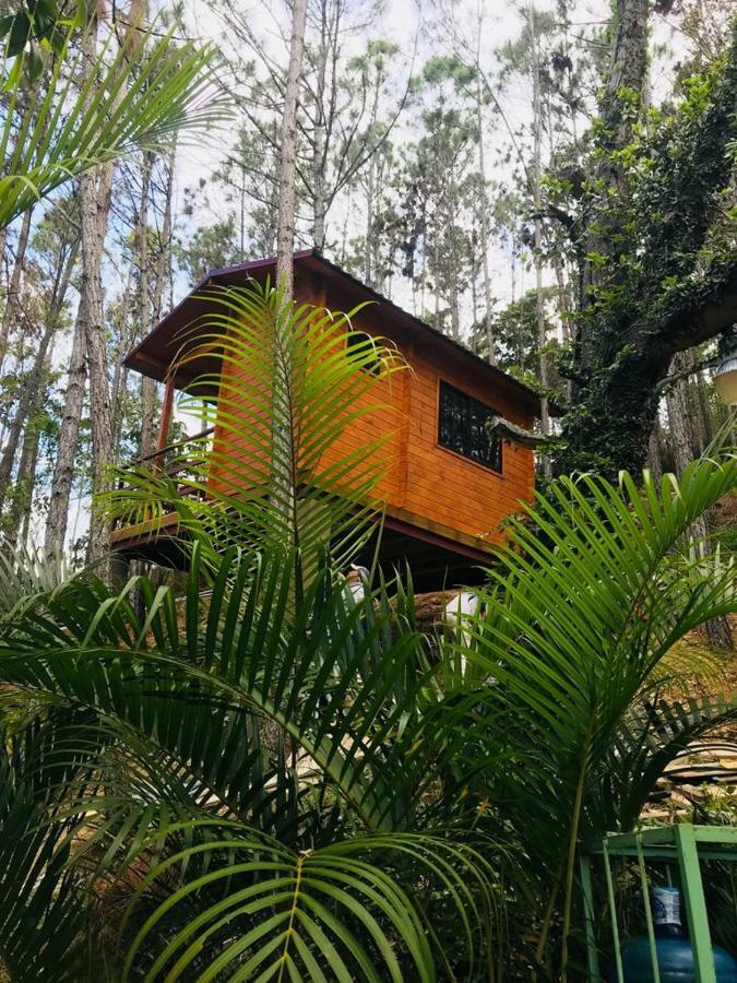Casa De Arbol, Rancho Tierra Alta Hotel Jarabacoa Exterior photo